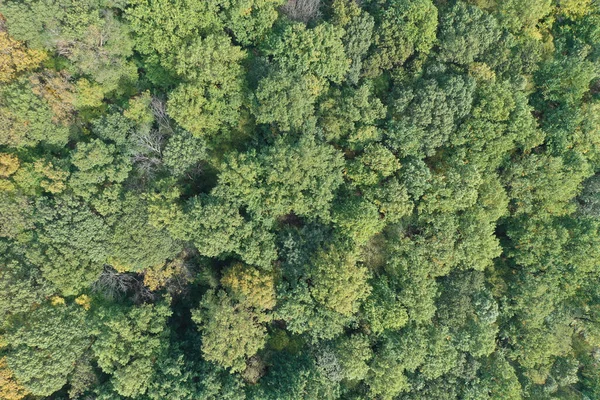 Vista Aérea Sobre Bela Paisagem — Fotografia de Stock