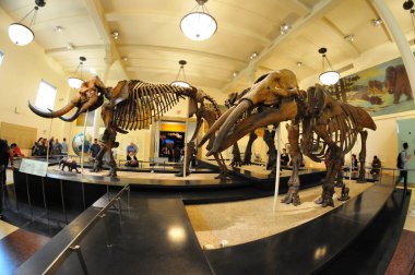 22 Mayıs 2016 'da New York' un geniş açı görüntüsü. 