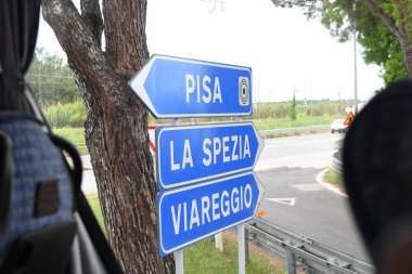 Ağacın yanındaki yol işaretlerinin görüntüsü