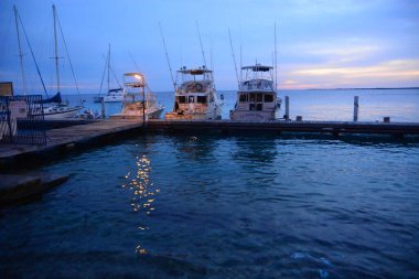 21 Eylül 2016 'da Hollanda' daki Güzel Bonaire. Fotoğraf: Marty Jean-Louis