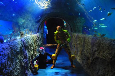 30 Ağustos 2016 'da Orlando Florida' daki güzel Orlando Eye 'daki Cirque du Soleil gösterisi.