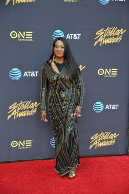 25 Mart 2017 'de Las Vegas' taki Orleans Resort 'ta 32rd Stellar Ödülleri.