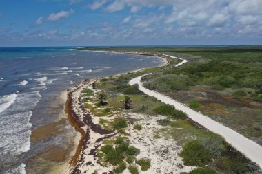 Meksika 'nın çok güzel Cozumel şehrinde güzel bir deniz feneri.. 