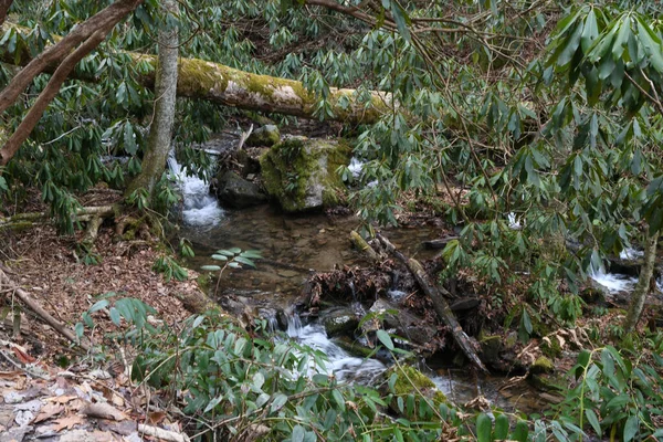 Winter Maggie Valley North Carolina — Stockfoto