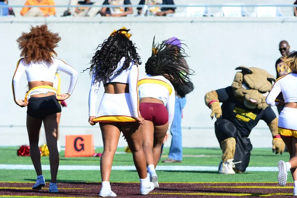 Florida Rattlers Face Bethune Cookman Wildcats Durig Florida Classics Camping — стоковое фото