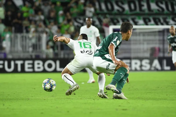 Florida Kupası 2020 Palmeiras Atletico Nacional Maçı Ocak 2020 Çarşamba — Stok fotoğraf