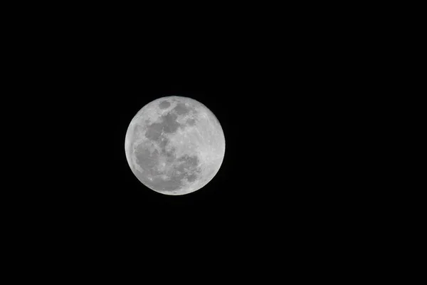 Beautiful View Full Moon Night Sky — Stock Photo, Image