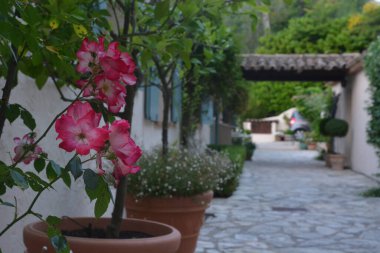 Güzel San Remo İtalya 25 Mayıs 2017.