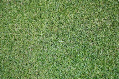 Arnold Palmer Davetiyesi 2020 'de Orlando Florida' daki Bay Hill 'de 4 Mart 2020' de açılıyor.