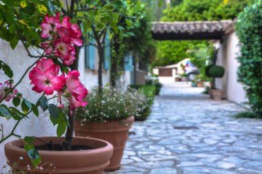 Güzel San Remo İtalya 25 Mayıs 2017.