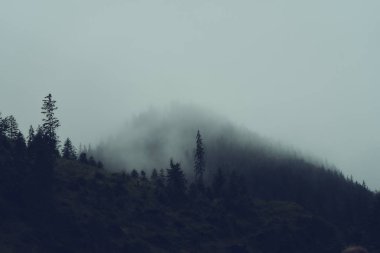 Tatra Dağları 'nın güzel yaz manzarası