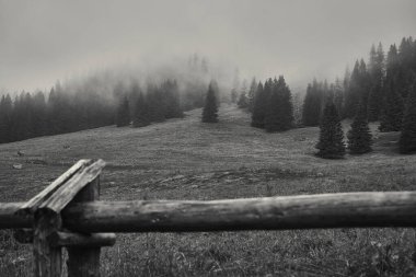 Tatra Dağları 'nın güzel yaz manzarası
