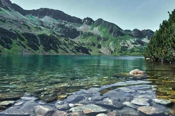 Vacker Sommar Utsikt Tatrabergen — Stockfoto