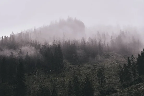 Belas Vistas Verão Nas Montanhas Tatra — Fotografia de Stock