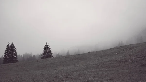 Belas Vistas Verão Nas Montanhas Tatra — Fotografia de Stock