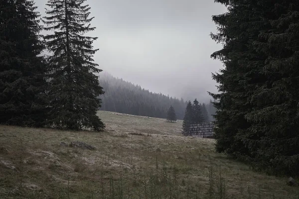 Belas Vistas Verão Nas Montanhas Tatra — Fotografia de Stock