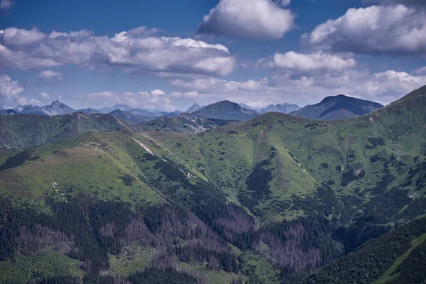 Vacker Sommar Utsikt Tatrabergen — Stockfoto