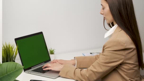 Aparência branca morena bonita trabalhando no escritório em um laptop em um fundo verde. Tiro nas costas — Vídeo de Stock
