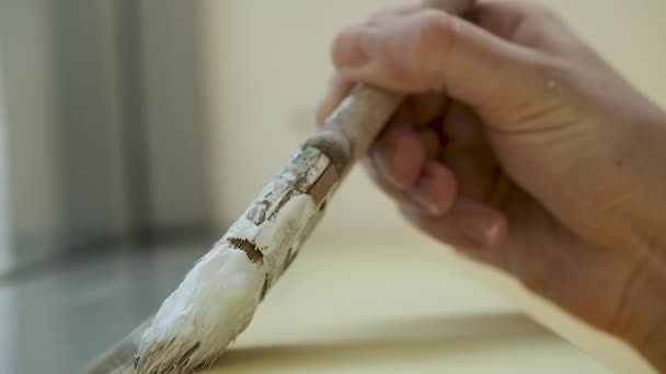 Un joven empresario hace reparaciones en su oficina. Pintando con un pincel las paredes en blanco — Vídeos de Stock