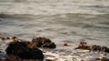 Fransa 'da Atlantik Okyanusu dalgaları. Etretat kıyısı