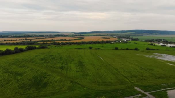 Flood. Flooding of wheat and rapeseed crops and outflow of the Dniester river. Ukraine. Global warming — Stock Video