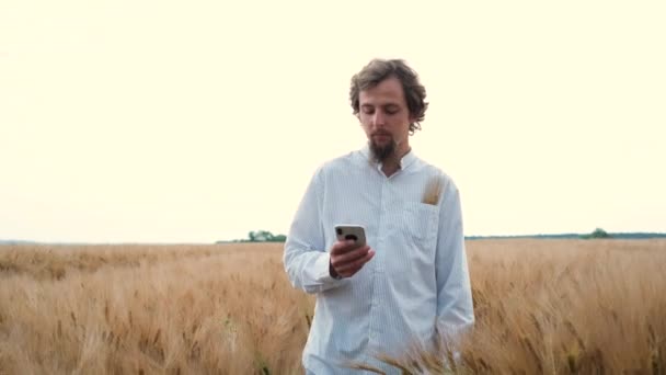 Mladý pohledný vousatý farmář v modré košili kráčí přes pole s pšeničnými nebo jakími plantážemi a kontroluje sklizeň s telefonem v ruce a zaznamenává data — Stock video