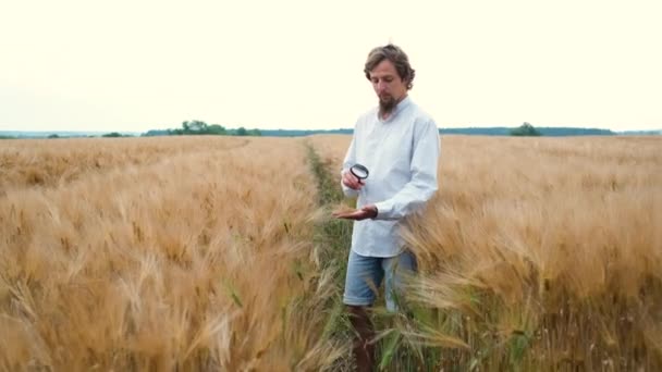 Un agrónomo de 30 años con apariencia caucásica y barba camina en un campo en una plantación de trigo o cebada con una lupa e investiga — Vídeos de Stock