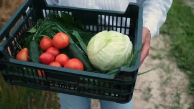Sakallı, vahşi, 30 yaşında şapkalı bir çiftçi tarlada yürüyor ve içinde salatalık, domates, lahana ve yeşillik bulunan bir kutu mahsul taşıyor. Çevre dostu ürün