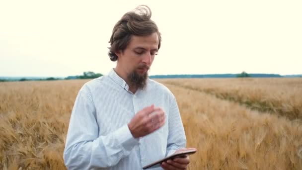 30-årig stilren manlig agronom med skägg står ute på fältet och skriver data till en surfplatta. Skördeinspektion — Stockvideo