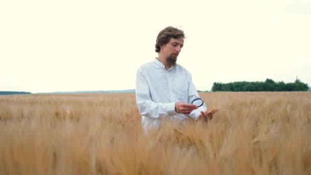 30 yaşında, beyaz görünümlü, sakallı, tarlada buğday ya da arpa tarlasında yürüyen ve elinde büyüteçle araştırma yapan bir tarım uzmanı. — Stok video