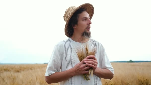 Stijlvolle blanke boer met hoed en baard die oren van tarwe of gerst vasthoudt en op een tarweveld loopt — Stockvideo