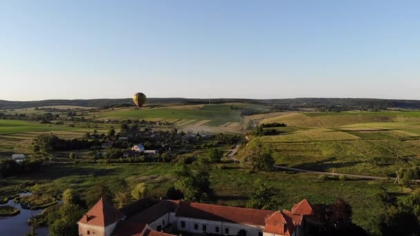 Vliegende ballonnen op prachtige natuur in de zomer onder zonsondergang — Stockvideo