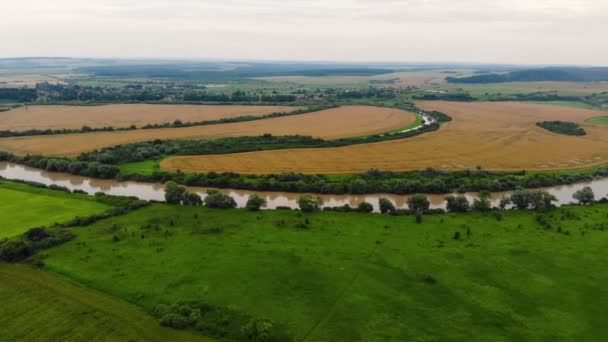 Een drone vlucht over de overstroomde rivier de Dnjestr. Opwarming van de aarde — Stockvideo
