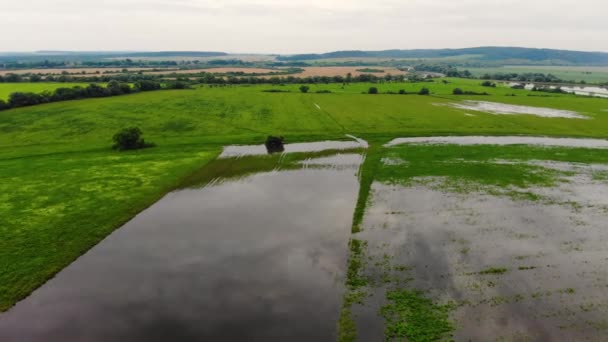 Een drone vlucht over de overstroomde rivier de Dnjestr. Opwarming van de aarde — Stockvideo