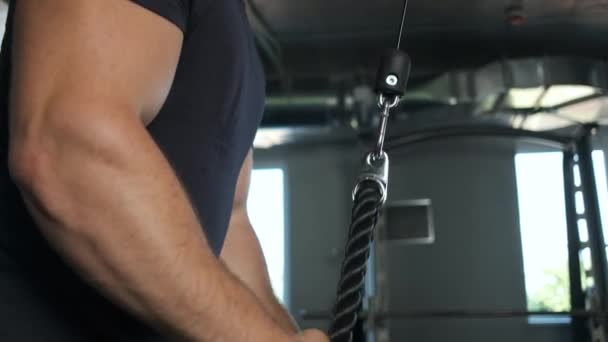 Retrato de um atletas bombeados mãos tremendo seus bíceps no ginásio — Vídeo de Stock