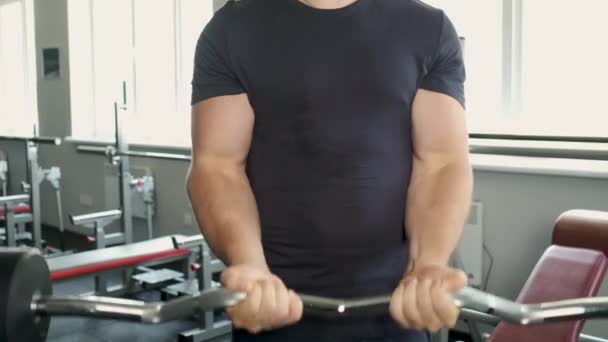 Portret van een gepompte atleet handen schudden zijn biceps in de sportschool — Stockvideo