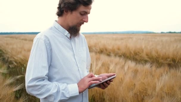 30-jarige stijlvolle mannelijke agronomist met een baard staat in het veld en schrijft gegevens naar een tablet. Oogstcontrole — Stockvideo