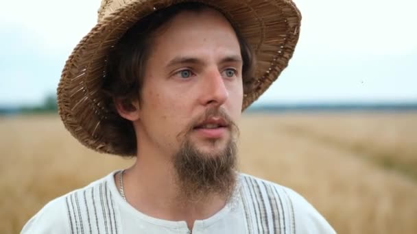 Stylový farmář bělošského vzhledu s kloboukem a vousy kráčí po poli a dívá se na sklizeň pšenice — Stock video