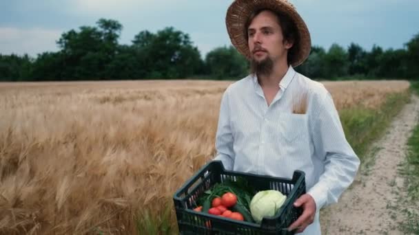 Sakallı, vahşi, 30 yaşında şapkalı bir çiftçi tarlada yürüyor ve içinde salatalık, domates, lahana ve yeşillik bulunan bir kutu mahsul taşıyor. Çevre dostu ürün — Stok video
