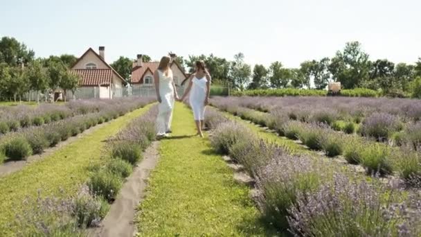 Belle donne in abiti bianchi e capelli lunghi corrono attraverso il campo di lavanda. Aspetto bruna e bionda caucasica. Lavanda — Video Stock