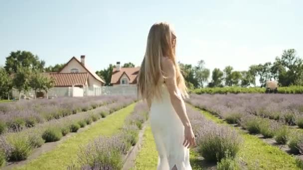 Καυκάσια 25χρονη όμορφη ξανθιά με μακρύ λευκό φόρεμα περπατάει σε ένα χωράφι λεβάντας ένα ηλιόλουστο καλοκαιρινό βράδυ. Πολλά μοβ λουλούδια. Πίσω βολή. Λεβάντα — Αρχείο Βίντεο