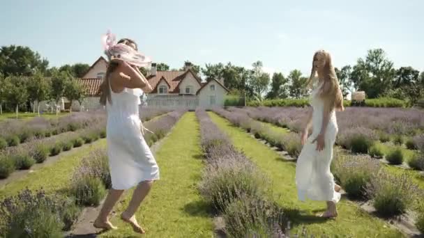 Krásné dívky drží ruce v bílých šatech a dlouhé vlasy chodí po levandulovém poli. Bruneta a blond běloška. Levandule — Stock video