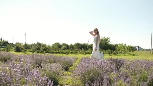 Vit 25-årig vacker blondin i en lång vit klänning går på ett lavendelfält en solig sommarkväll med en korg i händerna. Många lila blommor. Ryggskott. Lavendel — Stockvideo