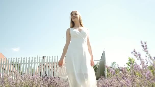 Белая 25-летняя красивая блондинка в длинном белом платье гуляет по лавандовому полю солнечным летним вечером с корзиной в руках. Много фиолетовых цветов. В спину. Лаванда — стоковое видео