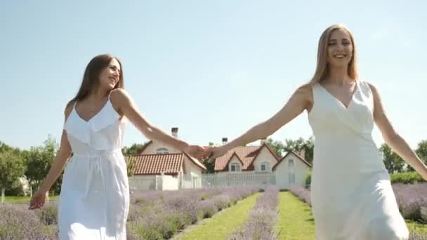 Hermosas chicas cogidas de la mano en vestidos blancos y pelo largo caminando en un campo de lavanda. Morena y rubia apariencia caucásica. Lavanda — Vídeo de stock