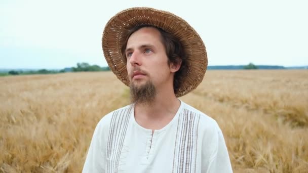 Stijlvolle boer van blanke uiterlijk met een hoed en baard loopt in het veld en kijkt naar de tarweoogst — Stockvideo