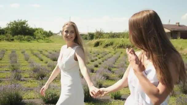 Hermosas chicas cogidas de la mano en vestidos blancos y pelo largo caminando en un campo de lavanda. Morena y rubia apariencia caucásica. Lavanda — Vídeos de Stock