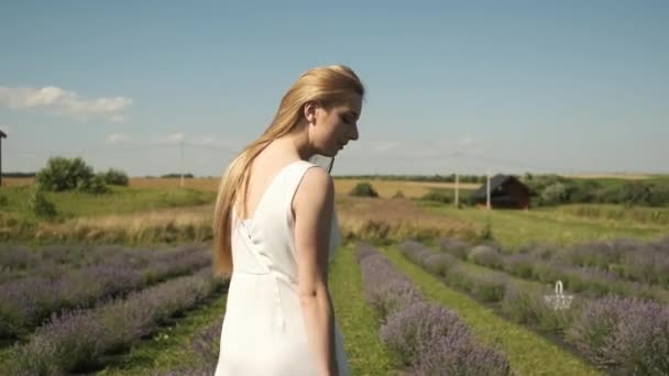 Flicka i vit blond klänning går på ett lavendelfält med boken i handen. Natur — Stockvideo