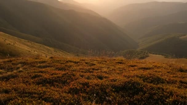 Beau paysage de montagne. Automne doré. Lever de soleil — Video