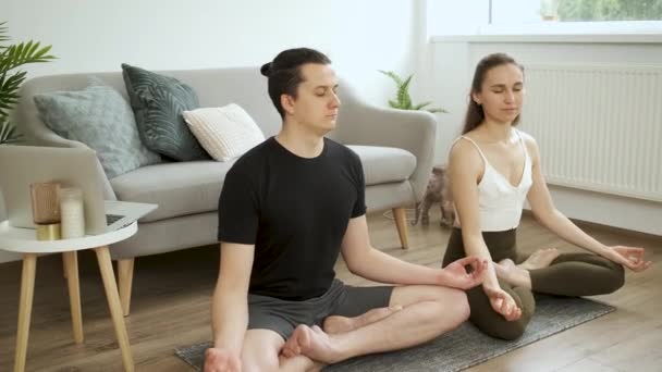 Uomo e donna che fanno yoga a casa. Meditazione. Posizione del loto — Video Stock